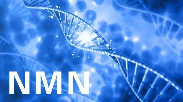 NMN research results shock release: Effective inhibition of atherosclerosis