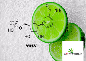 Supply nicotinamide mononucleotide NMN raw material brand GSHWORLD