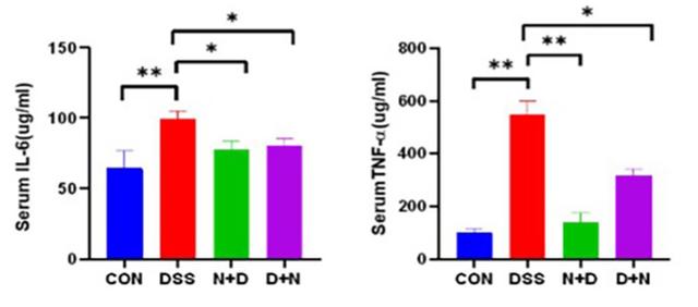 The levels of IL-6 and TNF-α inflammatory factors in serum of mice, wherein CON was the healthy control group and DSS was the diseased control group without NMN